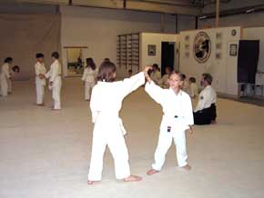 Working together is an important part of Aikido practice.